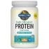 RAW Organic Protein - Natural 560g.